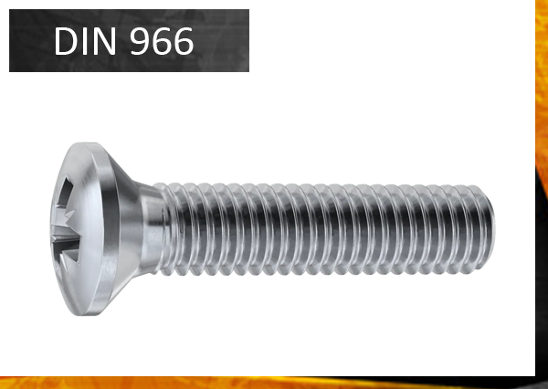 DIN966