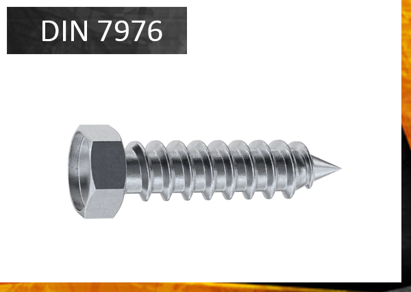 DIN7976