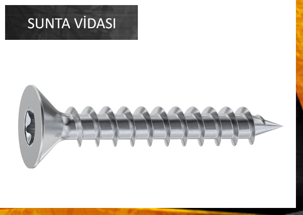 SUNTA VİDASI TORKS HAVŞA